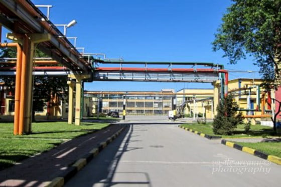 20140310-image-2014-05-8-17192688-0-foto-1