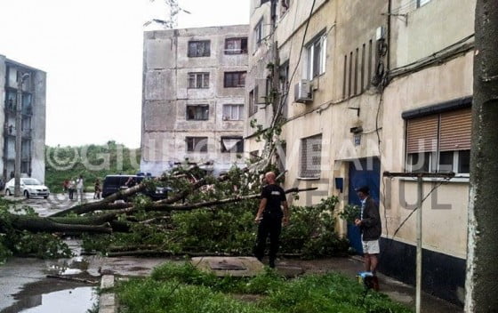 10367739_704379142968781_6787468873686007964_n