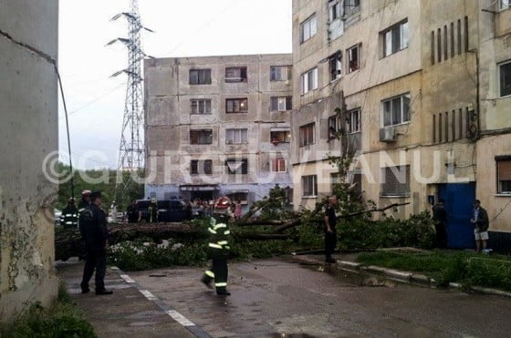 10458123_704379206302108_5273642970471262109_n