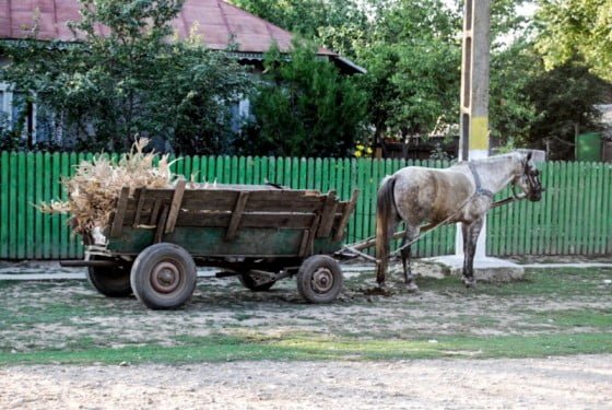 sursa-foto-jdd-ro_64835748