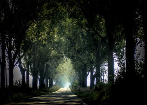 hope by Vasile Arcanu