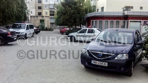 10726642_719952561414617_2143025333_n