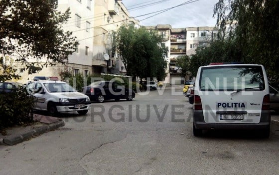 10743429_719952714747935_1390858844_n