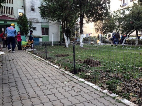 10743616_837189569645470_271829799_n