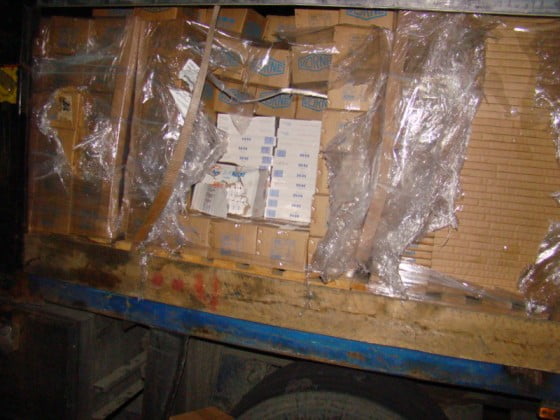 tigari gr 01.11.2014 1