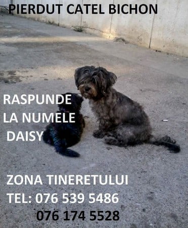 10893336_711508032290462_973100451_n