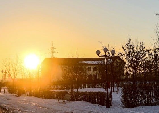 1498805_212100048990035_663881349_o