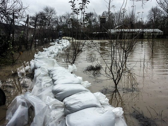 1546230_1571707656394283_5375236302980618119_n