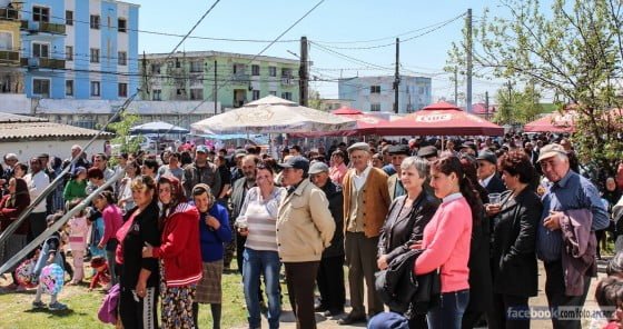 11146333_356218904578148_8130383123539868894_o