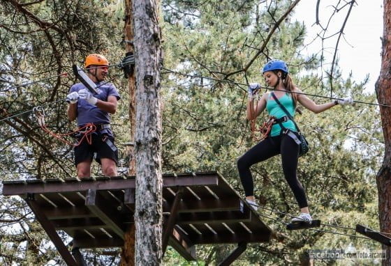 11252026_363993477134024_5366112253447113257_o