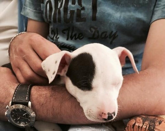 11250025_1582826515301481_734389687490241728_n