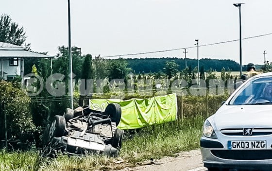 11303688_1575374399394273_764923786_n