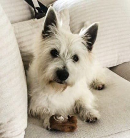 FB_20150609_11_41_29_Saved_Picture