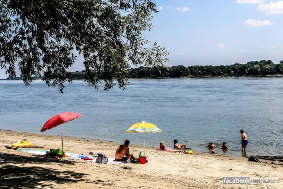 11717341_384873148379390_2814667829791829901_o