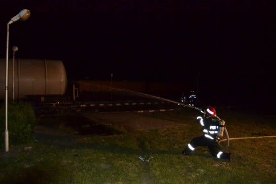 11754666_500016186828247_4444341237758719272_o