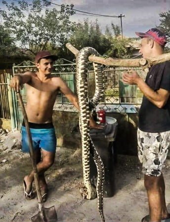 11780525_871698909563117_565515655_n