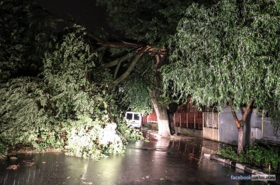 11728898_388470711352967_4313431414197528294_o