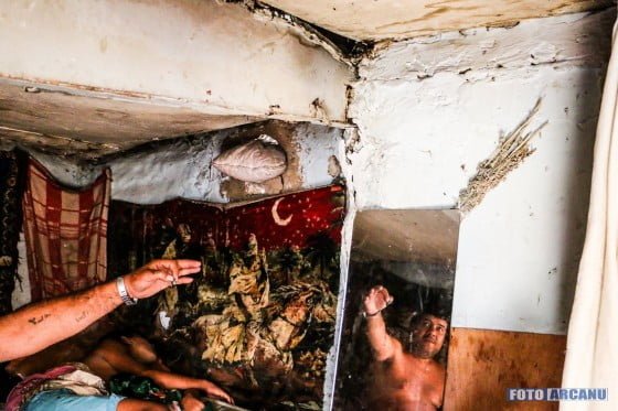 11780002_388792691320769_1370613752217801022_o