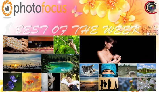 11937043_600415736767960_8183607027668645398_o