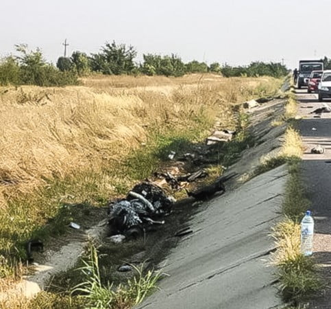 11943359_1688378364729131_1838719768_n