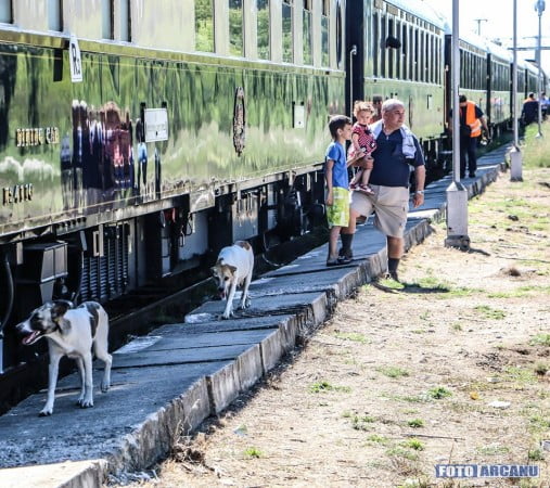 11986361_398570287009676_8408752641030373769_n