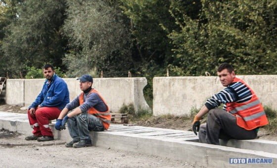 12068398_1013934828651456_3257322272120369025_o