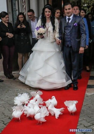 12140592_408560999343938_8562879406515106288_n