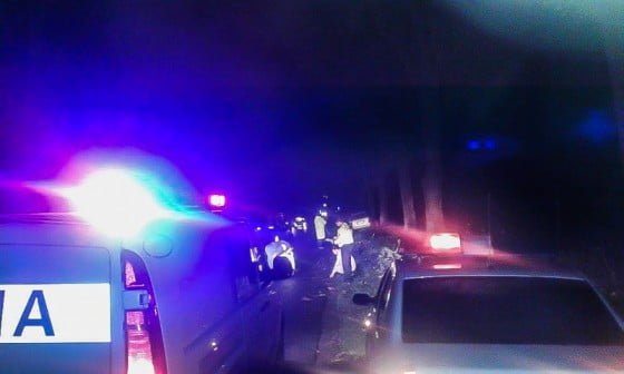 12165716_757533014372227_1947260643_n