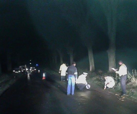 12170753_757533037705558_996431956_n