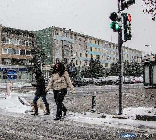 1780843_291278371072202_8490786789430445713_n