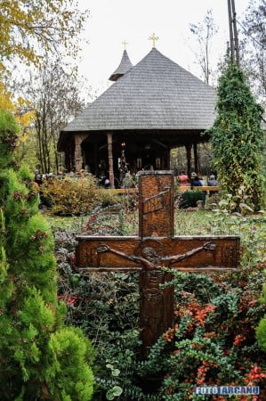 12241492_417942595072445_6293802038540974730_n