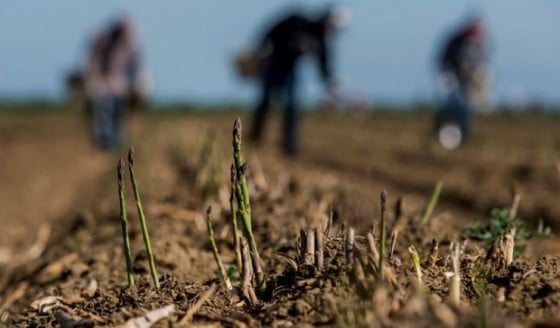 ctimpulaexpiratcandisiprimescfer-1448981852