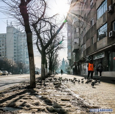 12472251_1661539610762901_8887909267012794926_n