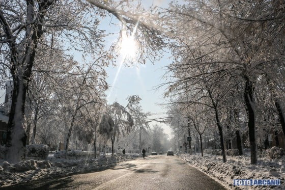 12605516_435317673334937_3904219220762954344_o