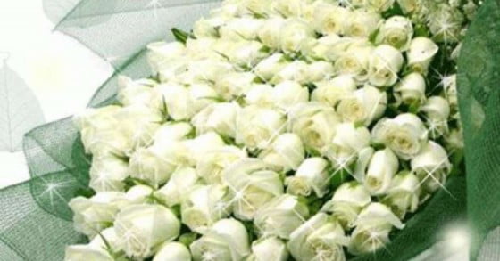 trandafiri pentru sandu braescu