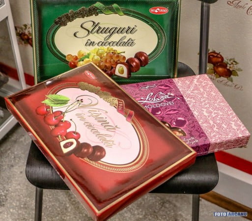 12512332_1186642354688611_6652789404593740389_n