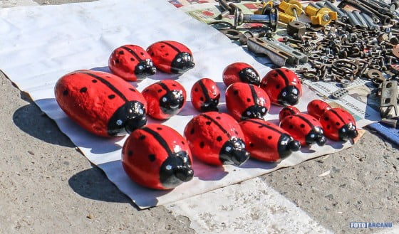 13041175_1190437020975811_8819520639825816343_o