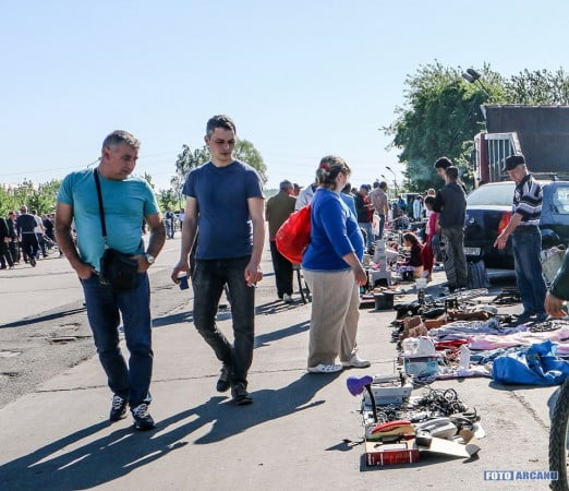 13055463_1190436834309163_6055082189735347148_n