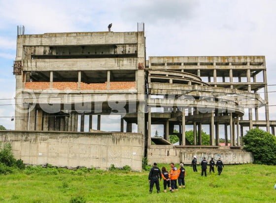 13124475_1203918069627706_5478733895726075294_n