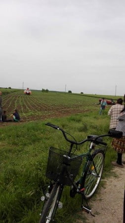 13187662_1406100796082914_2031965090_n