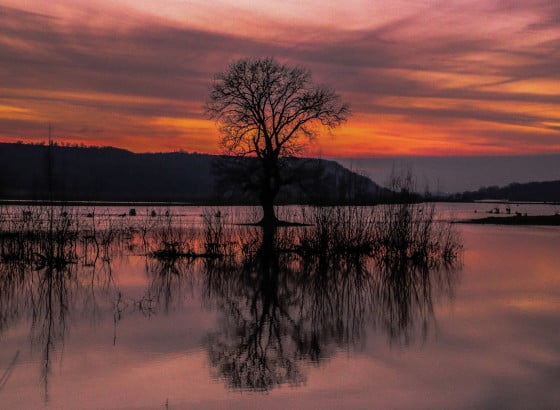 13198402_475160636017307_2551467429458812195_o