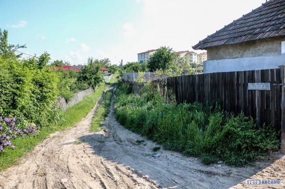 13221431_1204736519545861_988715076706861902_o