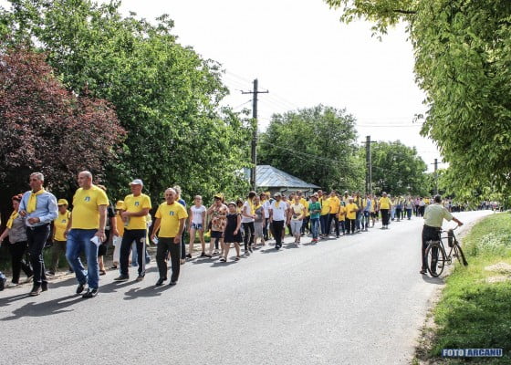 13301418_1216827891670057_2003865102016599428_o