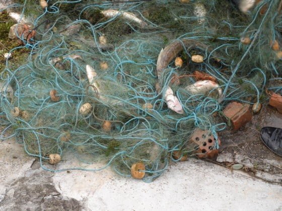 Braconaj_plasa_de_pescuit-2