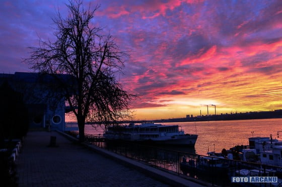 12493409_432994270233944_1848136058887788347_o