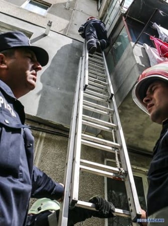 13332742_1223270441025802_5279552256163899899_n