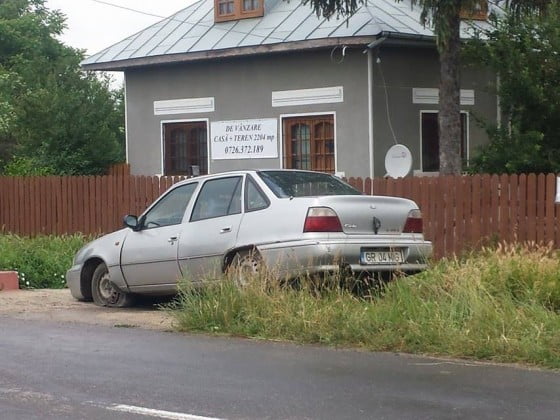 13348795_1118559874884037_545597780_n