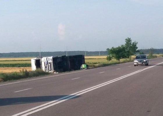 13351173_1107966209276619_1613674244_o