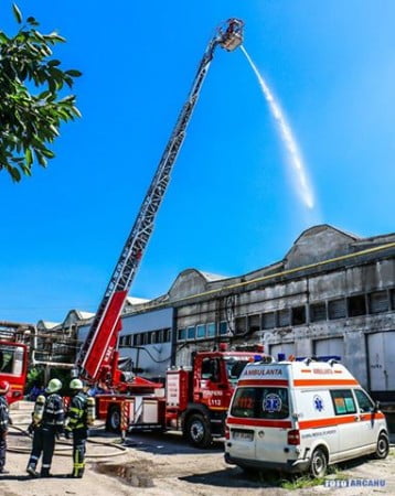 13413628_1228206813865498_5982189676237462726_n