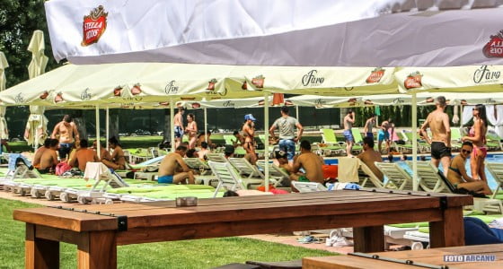 13433286_487209854812385_1010673741362866392_o